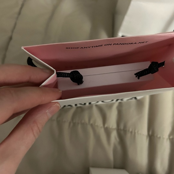 Pandora gift bags and bracelet boxes jewelry cleaner set - Picture 8 of 9